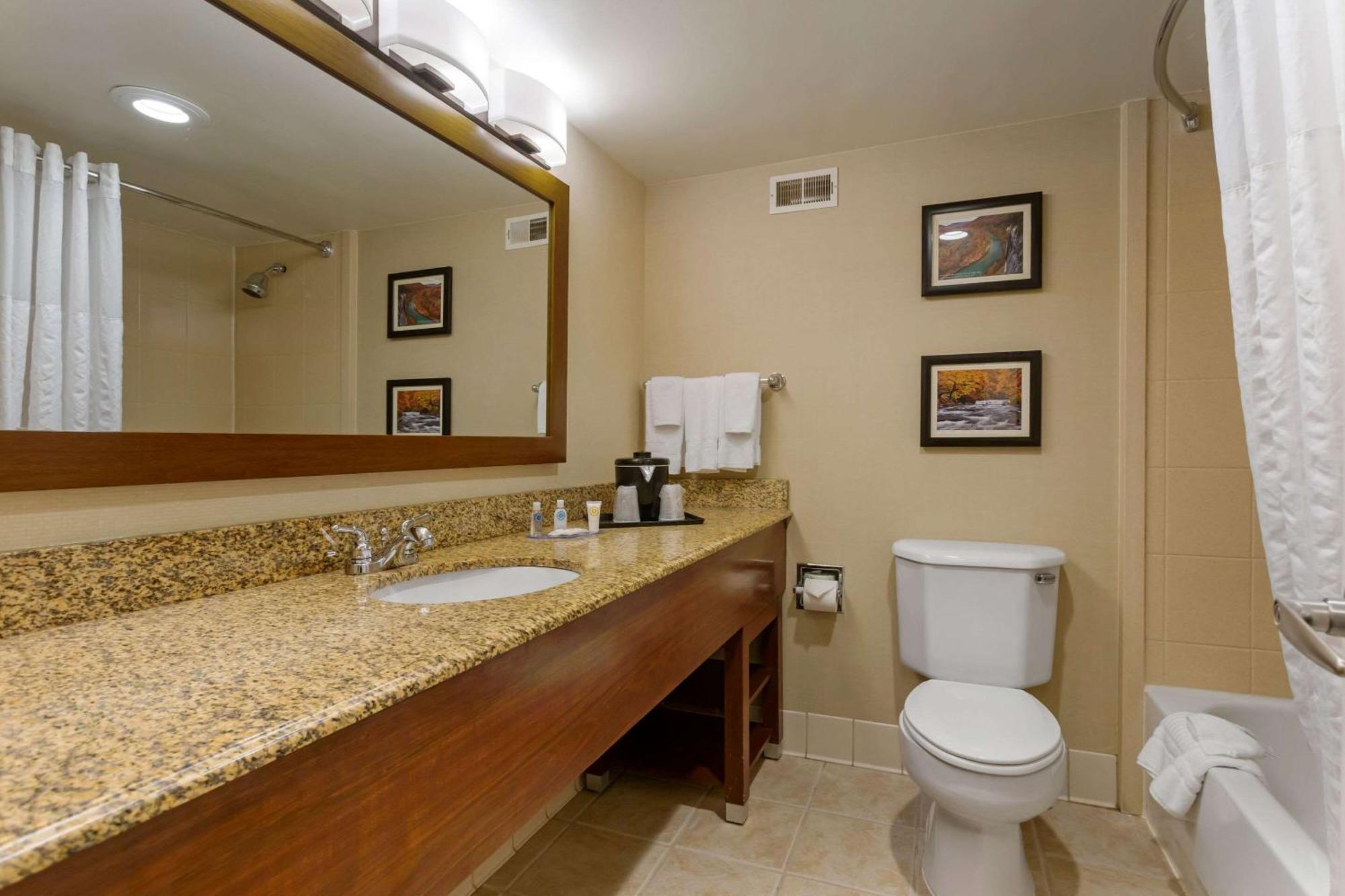 ליטל רוק Comfort Inn & Suites Presidential מראה חיצוני תמונה